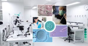 BasicEmbryologyTraining