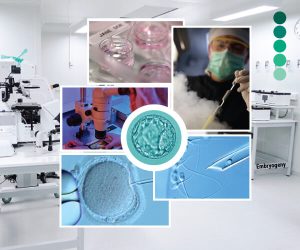 EmbryologyBasicsTraining