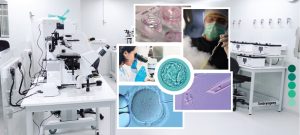 IVFEmbryologyTrainingCourseHandsOn