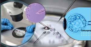 EmbryologyIVFTraining