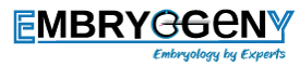 EmbryologyTrainingCourse