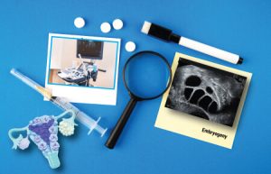 IVFStimulationProtocolTraining