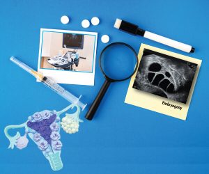 IVFStimulationProtocolTraining