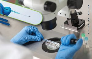 EmbryoVitrificationTraining
