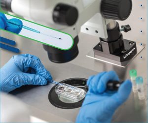 EmbryoVitrificationAndWarming