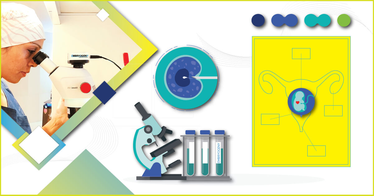 27+ How To Become An Embryologist