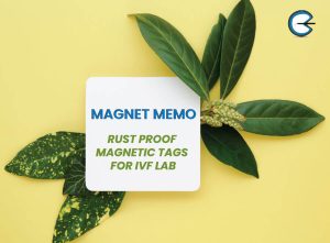 Magnet Memo