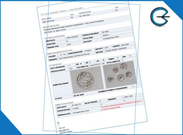 IVF Cycle Report Template with Image Holder